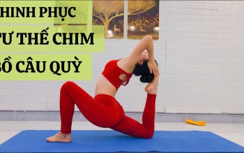 Tư thế yoga bồ câu - Chìa khóa giải phóng sự căng thẳng