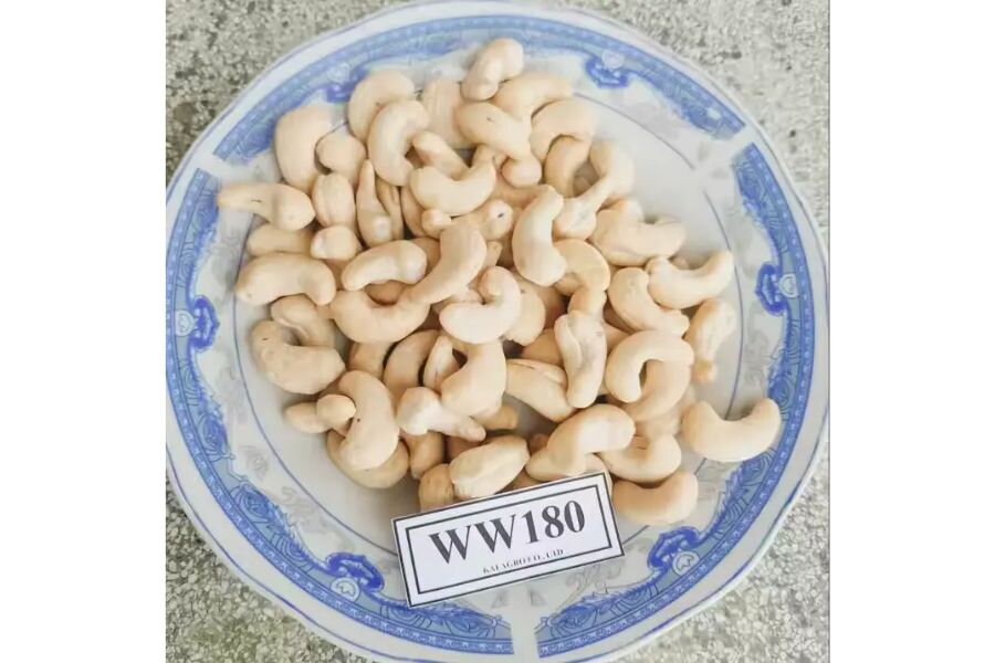 What Is Cashew Nut W180? What Is It Usually Used For?